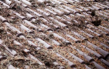 Rock Port roof cleaning companies